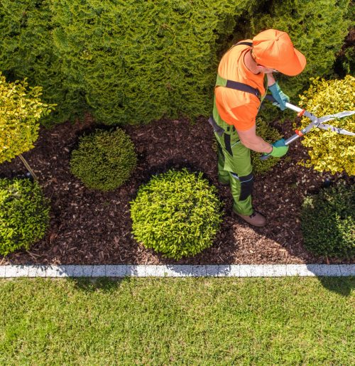 professional gardener at work